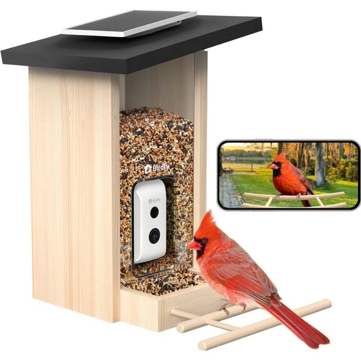 Netvue Birdfy Feeder Ebony, Intelligente Vogel-Futterstation mit 1080p HD-Kamera, Nachtsicht und KI-Vogelerkennung