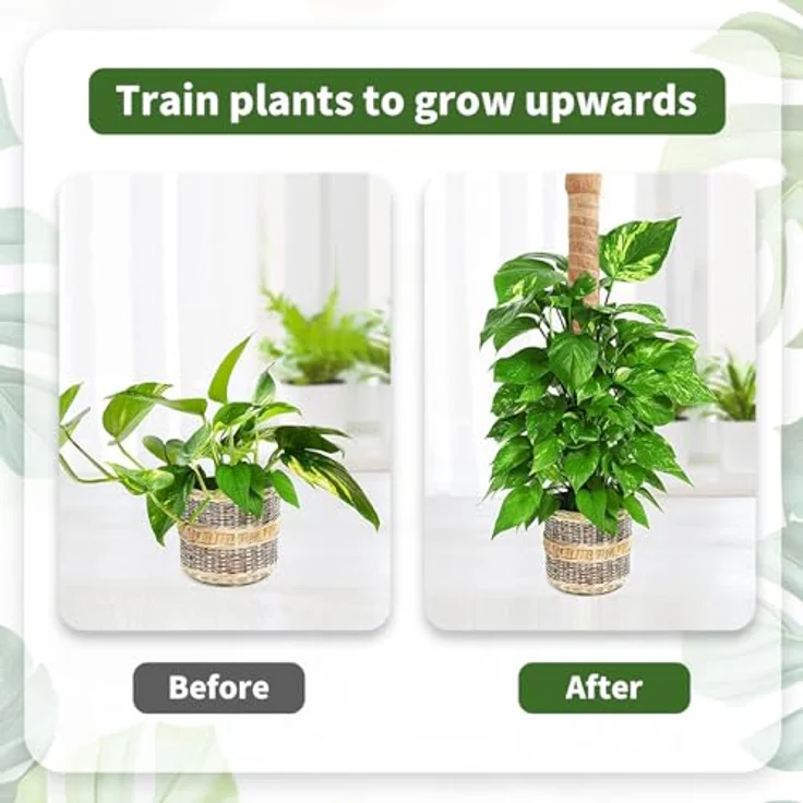 CNMTCCO 2 Stück 60 cm Moosstab für Kletterpflanzen, Rankhilfe aus Kokosfaser mit Zubehör für Indoor Monstera und Philodendron – Bild 5
