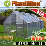 Plantiflex Aluminium Gewächshaus 250x430 cm - 10,75 m² mit Fundament - 6mm Verglasung, Silber, Garten Pflanzenhaus 16,07m³ Alu Treibhaus Tomatenhaus - Preisvergleich