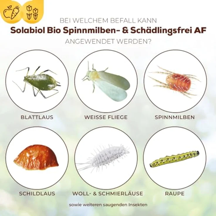 Solabiol Bio-Schädlingsfrei Akut AF500 ml – Bild 3