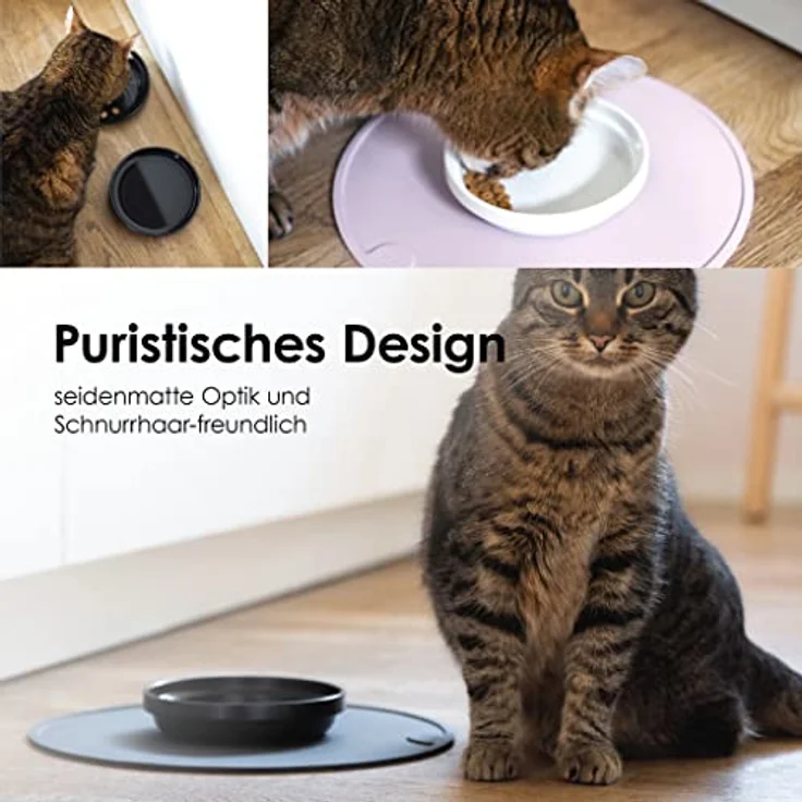 LucyBalu® Katzennapf aus Porzellan | Hochwertiger Futternapf & Wassernapf für Katzen | Porzellan Fressnapf & Trinknapf Katzen | Katzenfutter Porzellan Napf | Katzen 2er Napfset | Seidenmatt Weiß – Bild 2