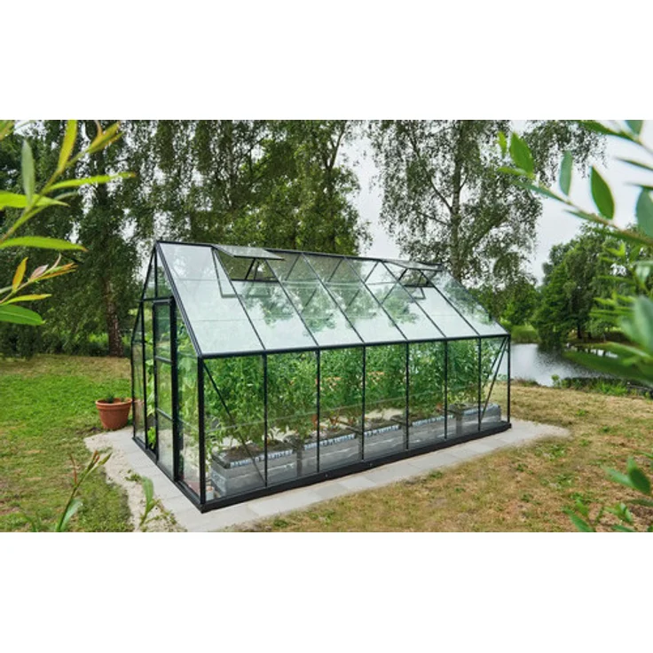 Halls Gewächshaus Universal 148 Blankglas 3 mm 257 x 446 cm Schwarz mit Doppelschiebetür und Dachfenstern