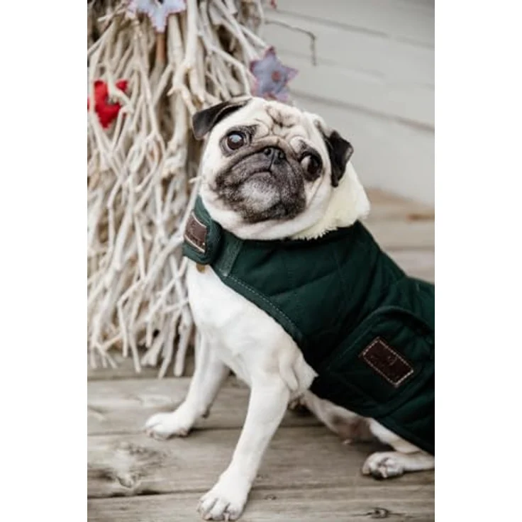 Kentucky Hundemantel 160g, Größe: XL, DarkGreen - Extra Wärme + Komfort, Sehr widerstandsfähig – Bild 3