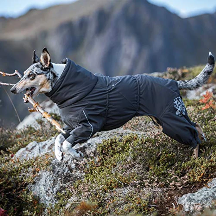Extreme Overall Winterjacke für Hund (BlackBerry, 25S) – Bild 2