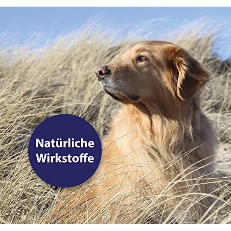 Canosept Hautpflege Spray für Hunde, 250ml - Regenerierende Lotion gegen Juckreiz und Hautreizungen, natürliche Wirkstoffe – Bild 5