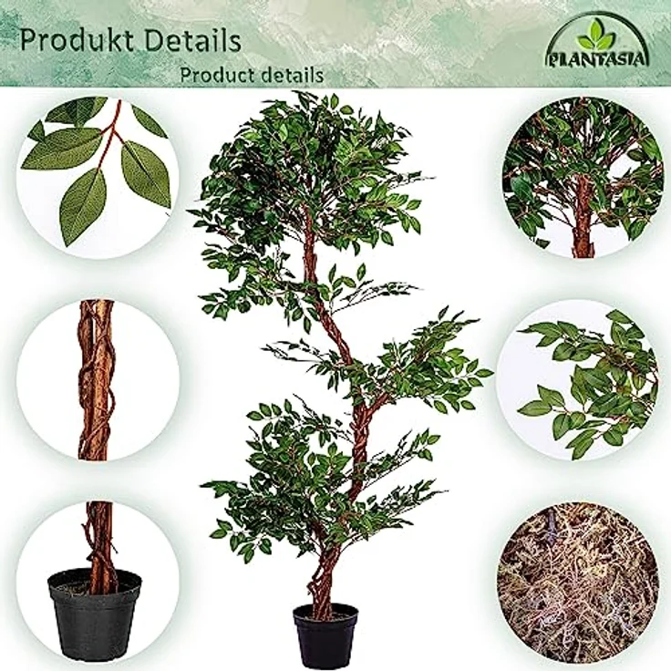 PLANTASIA Kunstpflanze Schnurbaum 160 cm, Authentisch gestaltet mit Echtholzstamm, Schwarzer Untertopf – Bild 5