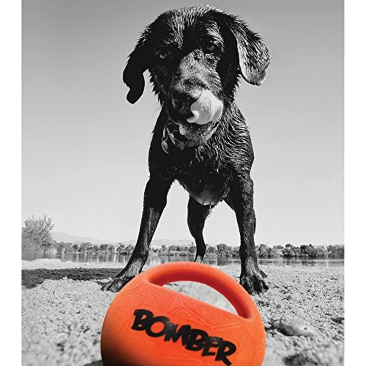 Zeus Bomber Durafoam Spielball für Hunde, 8cm – Bild 2