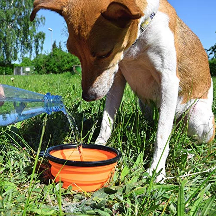 PhoneNatic Faltbarer Silikon-Hundenapf in pink, Reisenapf für Hunde und Katzen mit Karabiner – 350ml, 60014329, Klein (350ml) – Bild 2