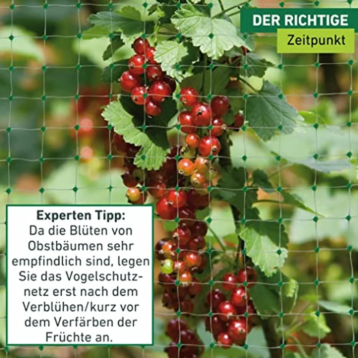 Windhager Vogelschutznetz Vogelabwehrnetz Baumnetz Ortonet schützt Obstbäume vor Vogelfraß, Maschenweite 13 x 13 mm, Größe 10 x 4 m, schwarz, 06014 – Bild 5