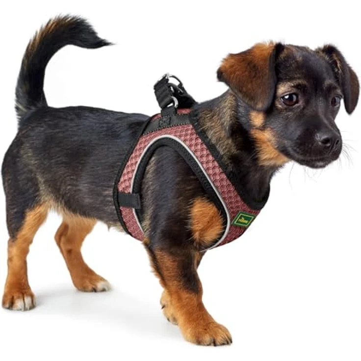 Hunter Dog harness Hilo Comfort XS pink - Hundegeschirr und Leine – Bild 5