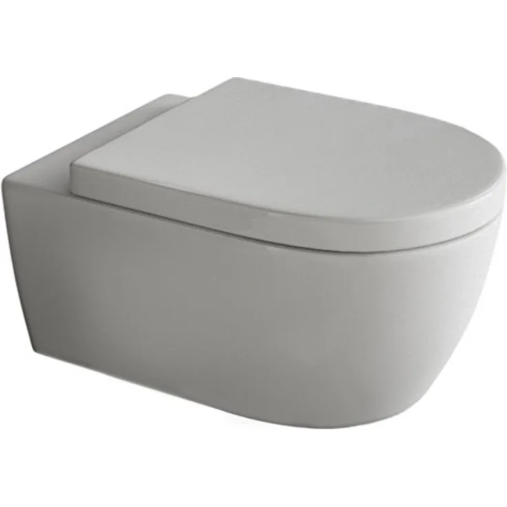 SSWW Hänge Wc Spülrandlos Toilette inkl. Wc Sitz mit Softclose Absenkautomatik + Abnehmbar, weiße Nanoversiegelung