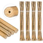 100 x Bambusstäbe 105cm, aus natürlichem Bambus, Bambusstangen als Rankhilfe oder Deko, Bambusrohre zum Basteln, Natur - Preisvergleich