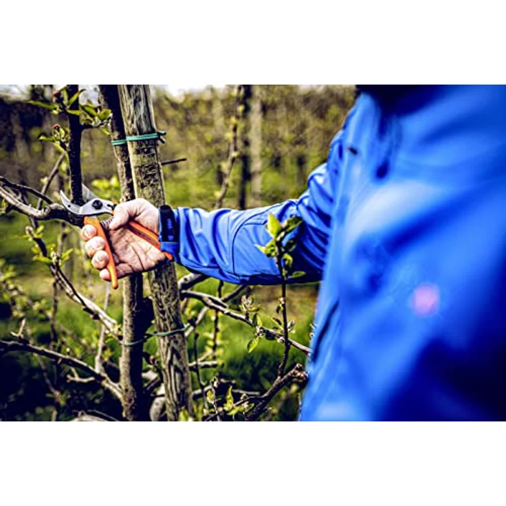 Original Löwe 15 Profi Amboss Schere 15.104 mit gebogener und antihaftbeschichteter Bypass Klinge - kompakte und starke Schere schneidet ideal hartes Holz wie Kiefer Linde Fichte Lärche mittelgroß – Bild 4