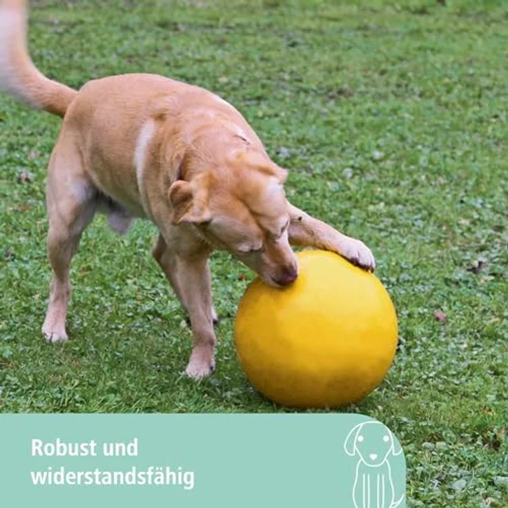 Kerbl Hundespielball Ø 30 cm – Bild 2