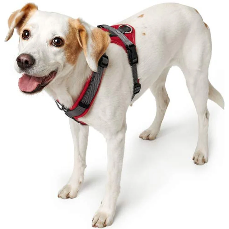 Hunter Hunde-Geschirr Maldon rot-grau XS – Bild 4