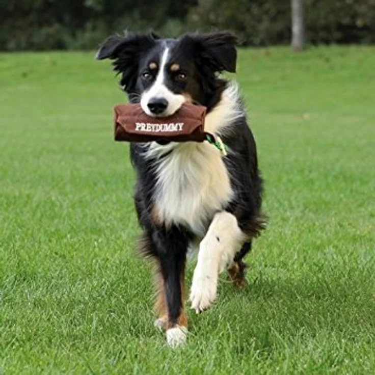 Trixie Prey-Dummy fürs Hundetraining braun 1 Stück – Bild 2