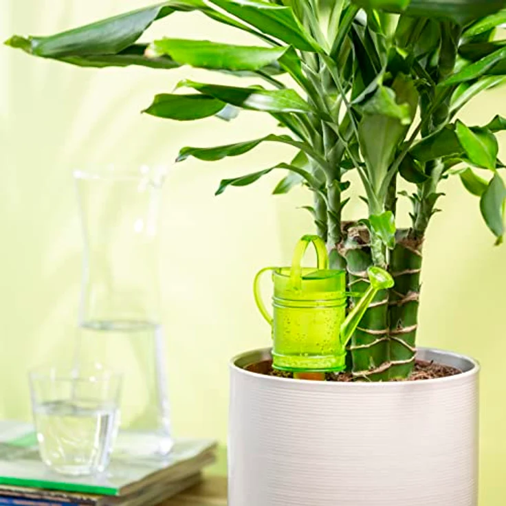 Scheurich Wasserspeicher 240 ml, Gießkanne aus Kunststoff mit wasserdurchlässigem Tonkegel für Innen und Außen – Bild 2