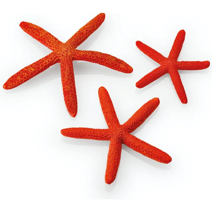 biOrb Seesterne Set 3 rot (48356)