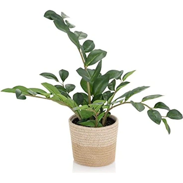 hjh OFFICE Kunstpflanze ZAMIE Höhe 50 cm Deko Zamioculcas Zimmerpflanze Glücksfeder künstlich, 871008 – Bild 1