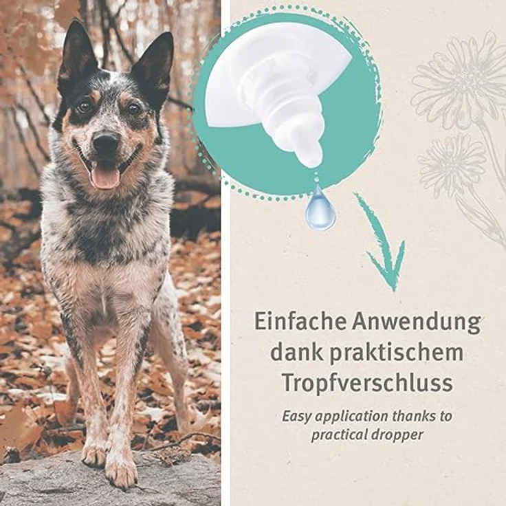 AniForte Ohrentropfen mit kolloidalem Silber 25ppm & Ringelblume 50ml | Für Hunde, Katzen & Kleintiere I Bei Ohrentzündungen, Juckreiz I Ohrenpflege, Ohrenhygiene, Gesunde Ohren – Bild 4