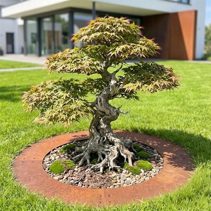 Relaxdays Baumring, Edelrost Baumscheibe, Ø 80 cm Cortenstahl Pflanzring in braun, Mähkante für Bäume und Sträucher – Bild 5