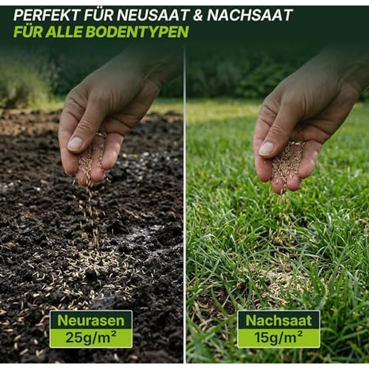 Terrauno Turbo Rasensamen, schnellkeimend für Nachsaat, extrem hohe Keimrate, 1 kg für 50 m², trockenresistent, RSM Qualität – Bild 2