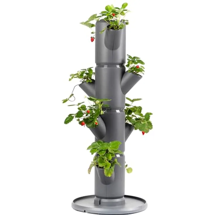 Gusta Garden SISSI STRAWBERRY Erdbeerbaum Starter Anthrazit - Vertikales Pflanzsystem für gesunde Erdbeeren