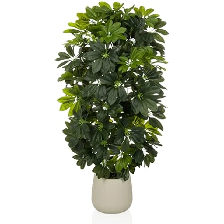 hjh OFFICE Kunstpflanze Schefflera 2 – 110 cm hoch, täuschend echt aus hochwertigem Kunststoff-Mix, pflegeleicht & geruchslos, incl. cremeweißem Kunststoff-Topf mit Zementfuß – Bild 1