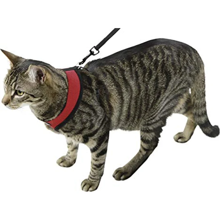 Kerbl 82644 Katzengeschirr Active mit Leine 120 cm, rot – Bild 3