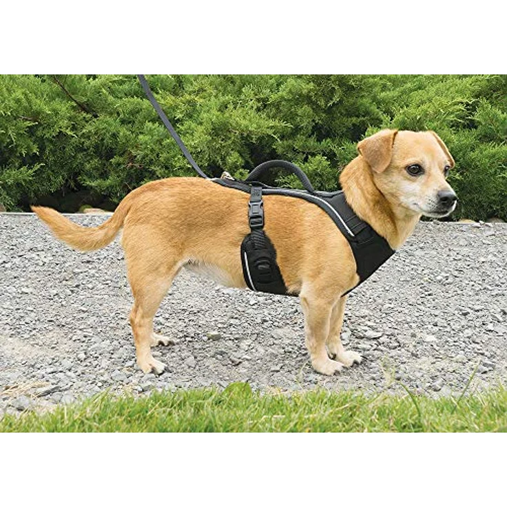 PetSafe Easy Sport, Halsband + Leine – Bild 3