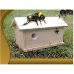 Feel2Home Nistkasten Hummel Hummelhaus Hummelkasten Nistkasten Insektenhaus Haus, Chinesische Fichte, Natürliches Hummelhaus mit Bestäubungsförderung