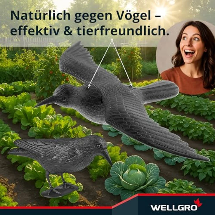 WELLGRO Vogelschreck Krähe, realistische Raben Attrappe zur Vogel- und Taubenabwehr, fliegend, schwarz, wetterfest aus Kunststoff für Balkon und Garten – Bild 5