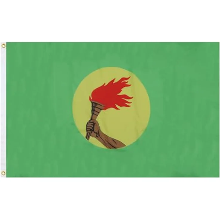 AZ FLAG Zairische Fahne, 90x60 cm, 100% Polyester mit Messing-Ösen, doppelt genäht, verstärkte Ecken, für Innen & Außen – Bild 1