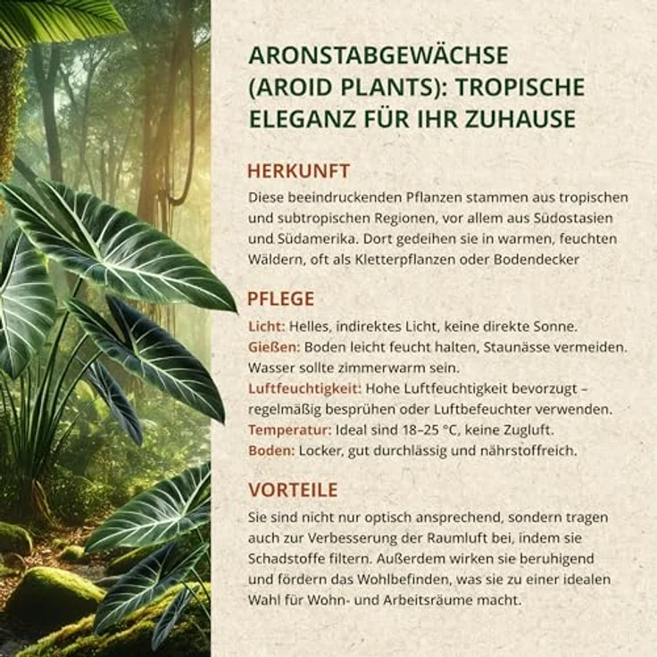 OraGarden Aroiden Erde Blumenerde für Monstera, Philodendron Premium Qualität (12L) – Bild 9