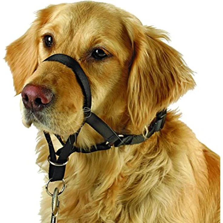 Kerbl MAXI COACH Größe 6, Hundegeschirr für Kurzkopfrassen, schwarz – Bild 1