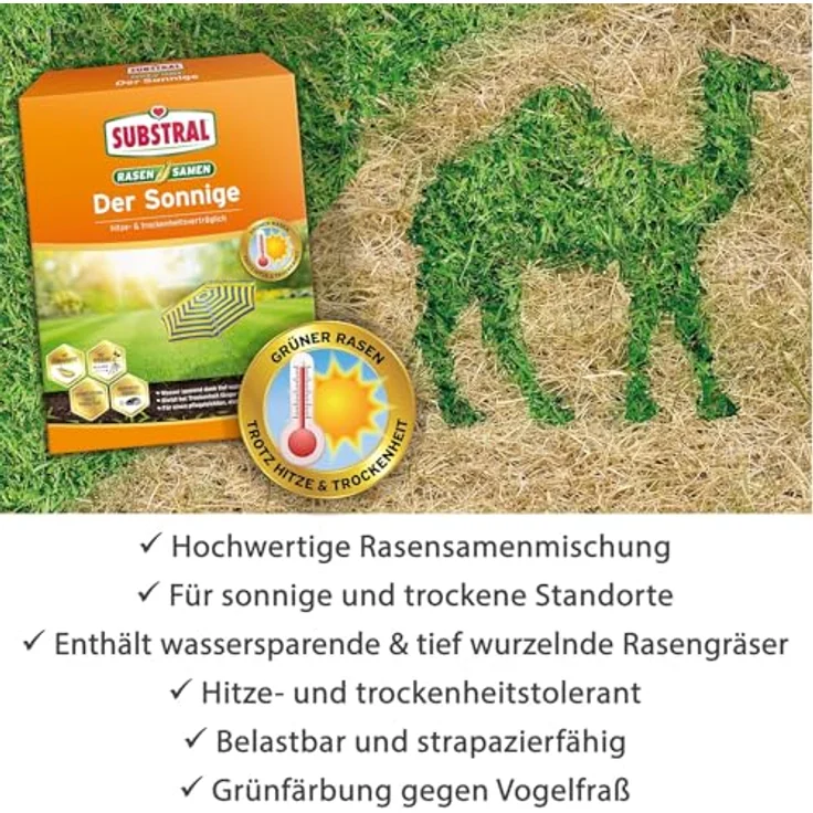 Substral Der Sonnige 2,25 kg - 89998 – Bild 5