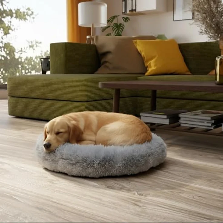 BENNO® Hundebett BALU, Donut Kuschelbett 60x60x16 cm, grau, maschinenwaschbar, rutschfester Boden, inkl. Kauknochen – Bild 2