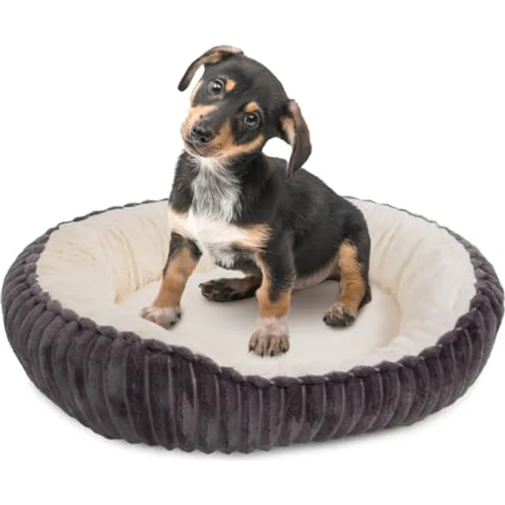 Wallace & Jones | Hundebett kleine Hunde | Cameron - Hundekörbchen oval flauschig | Hundekorb rutschfest | anthrazit-beige | Größe S | ca. 55 x 45 x 17 cm