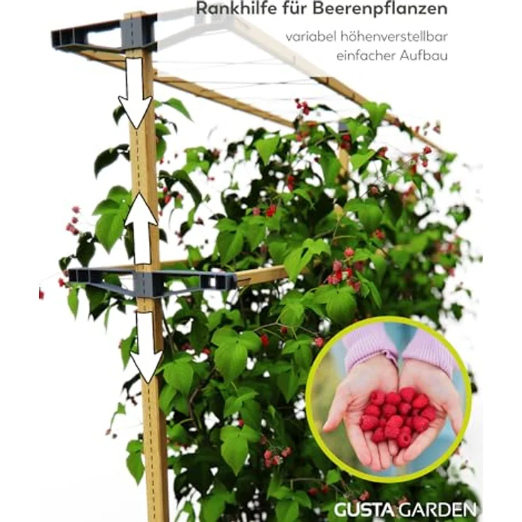 Gusta Garden Berry Buddy - Flexible Rankhilfe für Beeren: Himbeeren, Brombeeren & Heidelbeeren, erweiterbar, produziert in der EU, Rankgitter aus Holz (120cm) – Bild 3