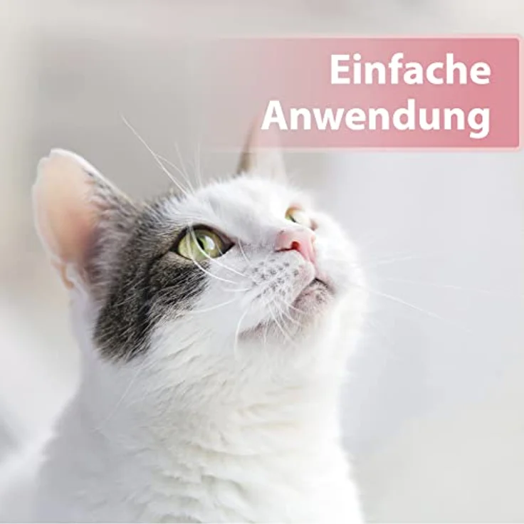 Felisept Augenpflege-Pads für Katzen, 100 Stück, mit Aloe Vera-Extrakt zur Entfernung von Tränenflecken – Bild 3