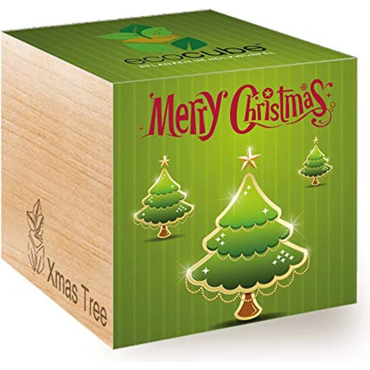 Feel Green Feel Merry Christmas2G, Weihnachtsbaum Anzuchtset im Holzwürfel, Geschenkidee, Made in Austria – Bild 1