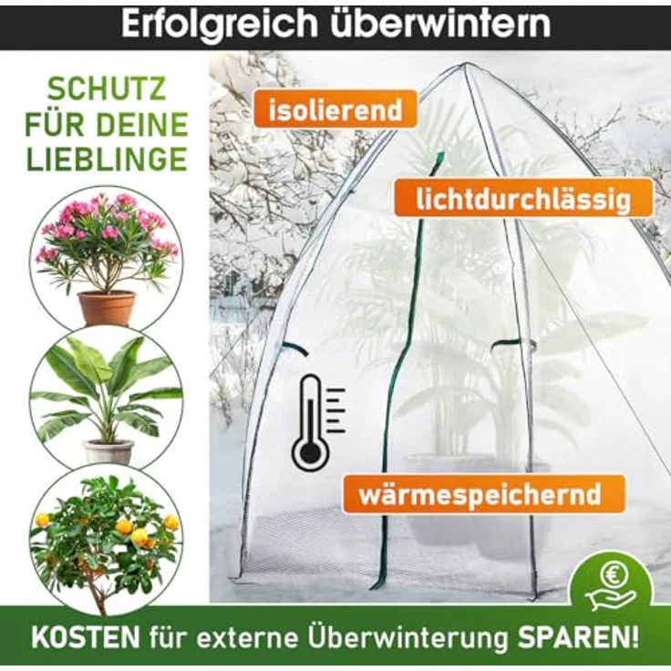 BRAST Überwinterungszelt Foliengewächshaus Mini 160x160x180cm - 250x250x220cm mit wahlweise Heizung, Reißverschluss, Schnellaufbau und Winterschutz für Pflanzen – Bild 3