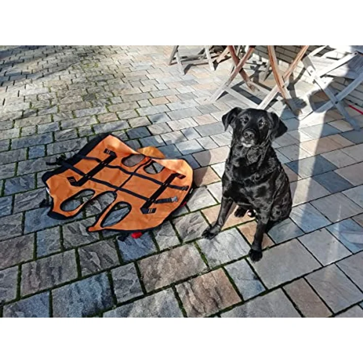 Singing Rock Laika Hundegeschirr – Bild 3