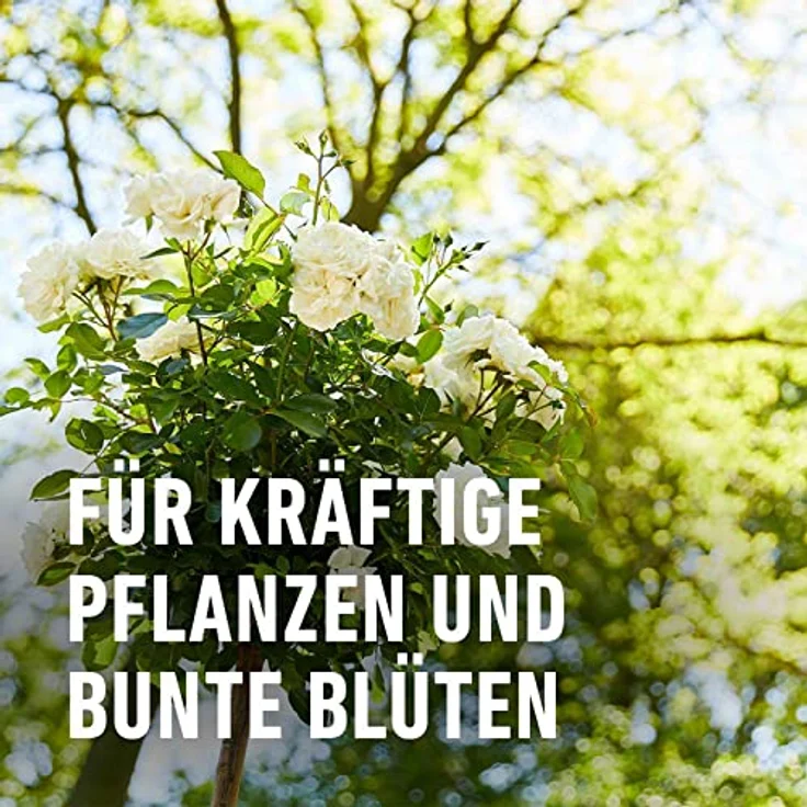 COMPO® BIO Pferdedung, 12 kg – Bild 5