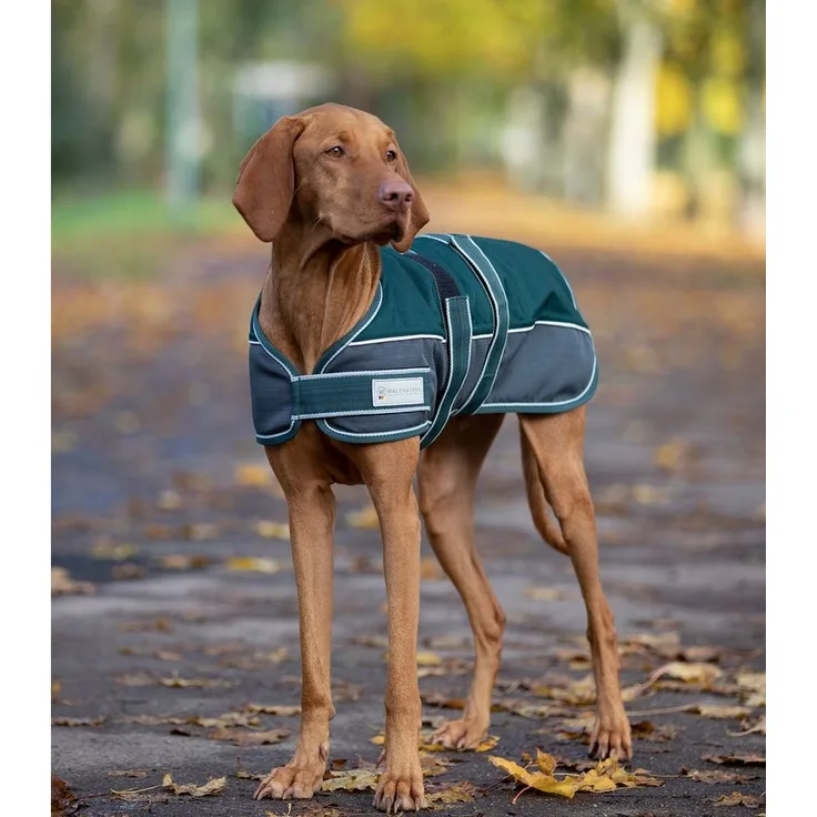 Waldhausen Hundemantel Hundedecke Comfort Line, 200 g Thermofüllung, wasserdicht, strapazierfähig, 1200 Denier, Klettverschluss