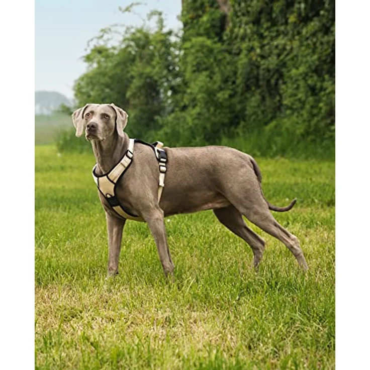 lionto Hundegeschirr XL, gepolstertes Anti-Zug Geschirr aus weichem Nylon mit 2 Ringen, 4 Einstellgurten, 2 Klickverschlüssen und gummiertem Griff, reflektierend, beige – Bild 3