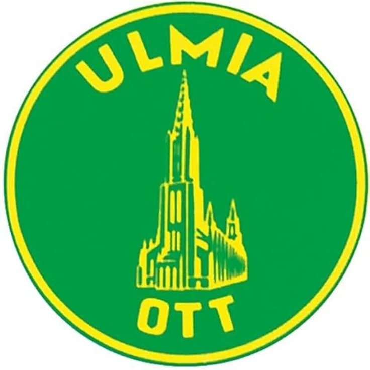 Magni Schittersäge, Gestellsäge mit 600 mm Blattlänge – Bild 2