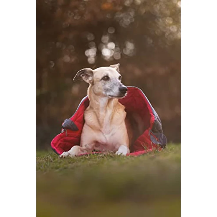 iEnergy™ JUL - Hundedecke Schlafsack Hundebett für Hunde, ideal für Camping, Urlaub, Wandern, Rucksackreisen und Ausflüge, Einheitsgröße für alle Rassen, 105x75x2,5 cm – Bild 3