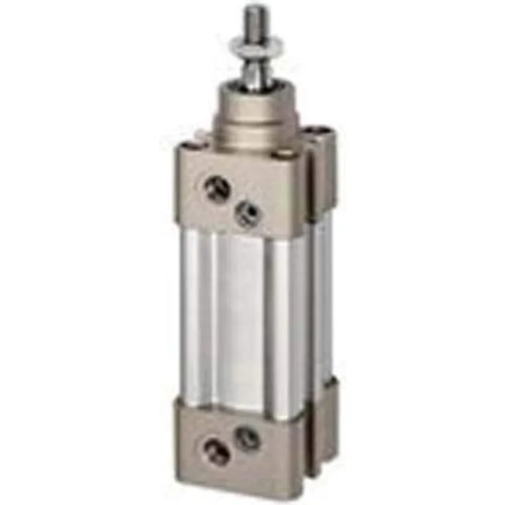 RIEGLER 16.DMD.50100 Serie SAI Normzylinder, Doppeltwirkend, 50mm Kolben-Ø, 100mm Hub, G 1/4" Anschluss