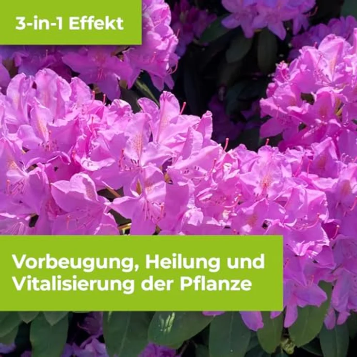 PG Spezial-Pilzfrei Aliette 4x10 g – Bild 6